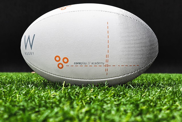 Free Rugby Rugby Ball photo and picture