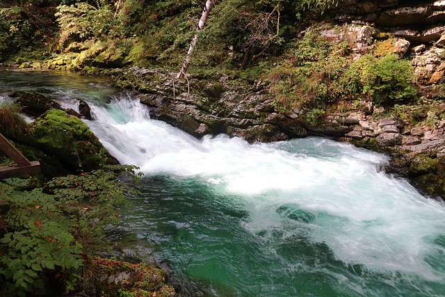 Bach, Wildwasser, Natur, Vintgarklamm