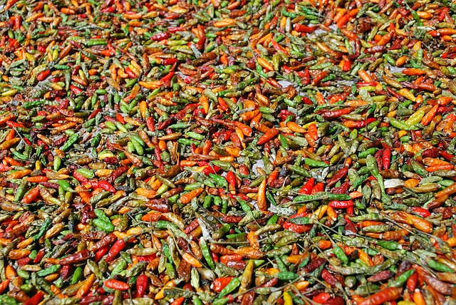 Free Chilli Sharp photo and picture