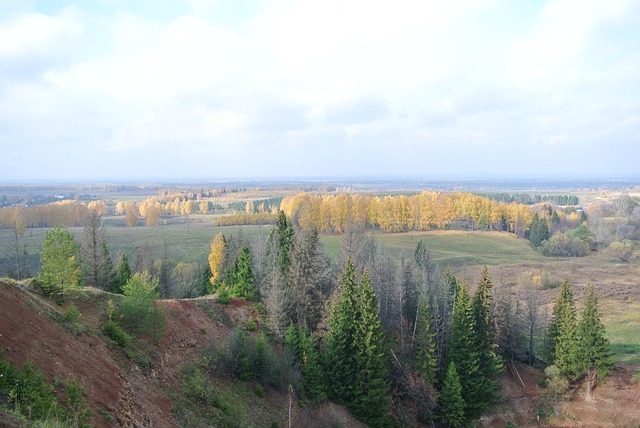 Herbst, Wald, Die Natur