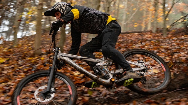 Fiets, Fietser, Adrenaline, Menselijk
