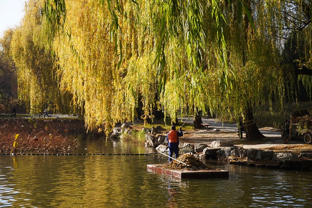 Free Gardener Park photo and picture