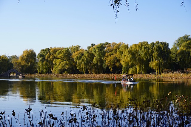 Free Lake Old Summer Palace photo and picture