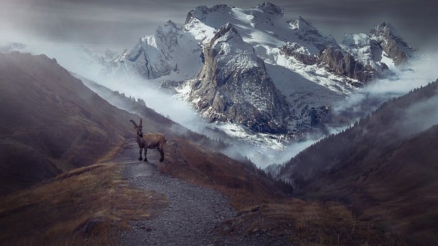 Free mountain landscape landscape mountain hiking illustration