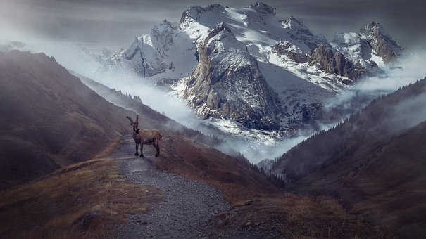 Free Mountain Landscape Landscape illustration and picture
