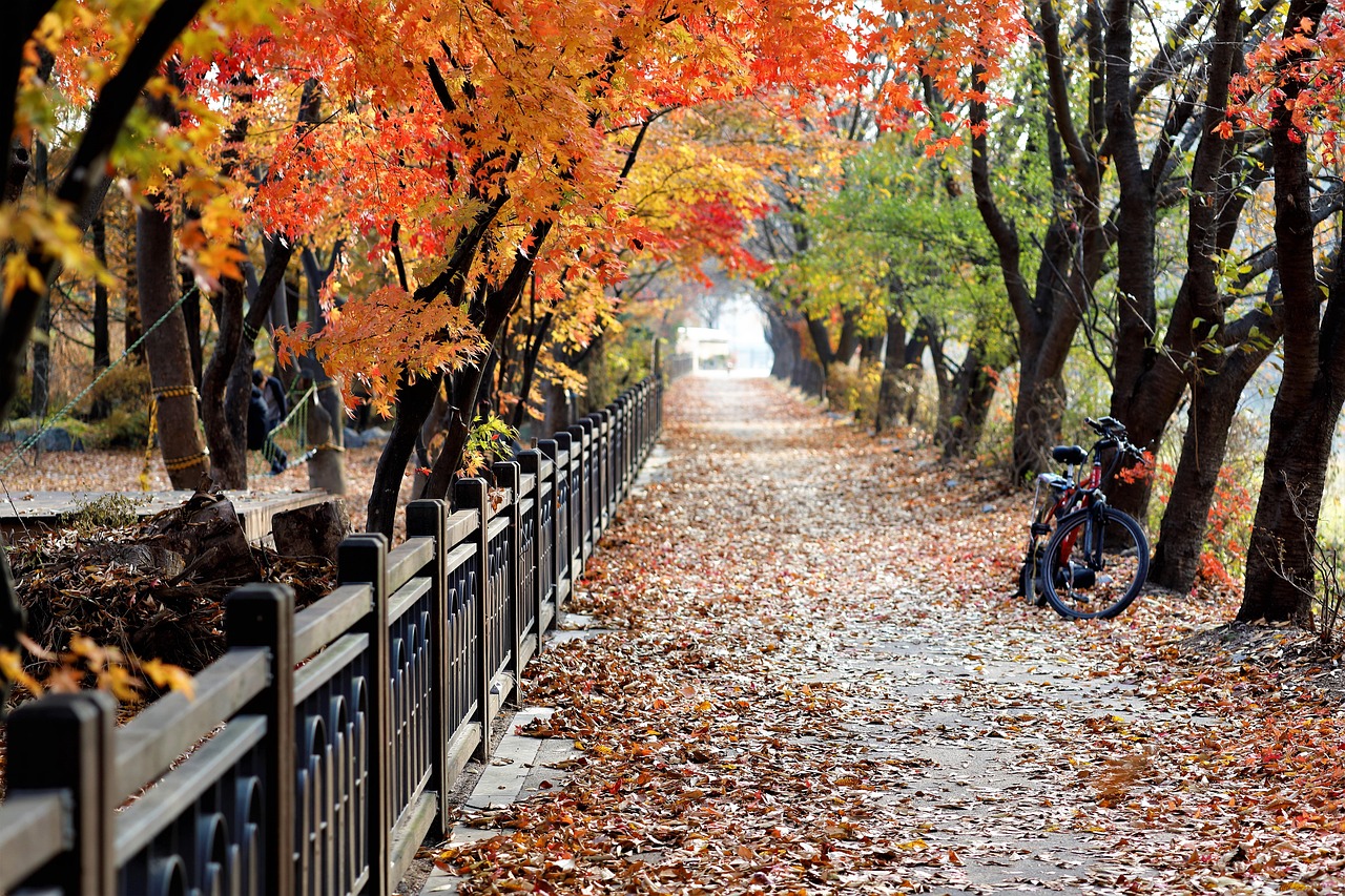 Leaves - free online jigsaw puzzle photo