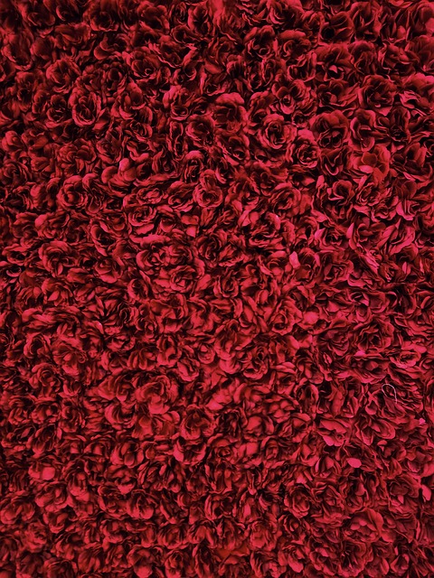 Free Red Roses Bed Of Roses photo and picture