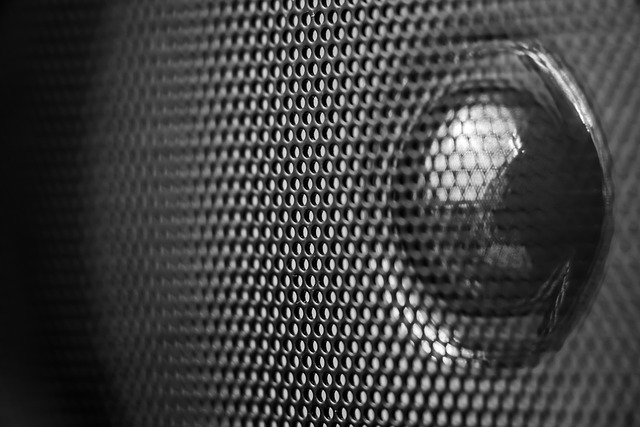 Free Speaker Audio photo and picture
