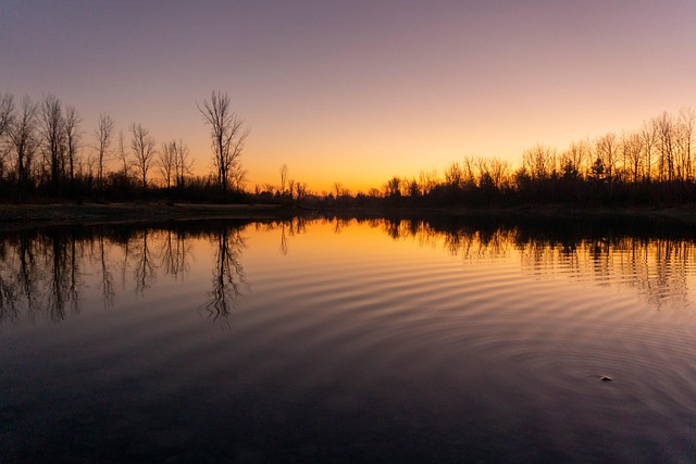 Free Night Refraction Reflection photo and picture