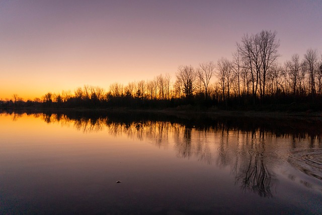 Free Night Refraction Reflection photo and picture