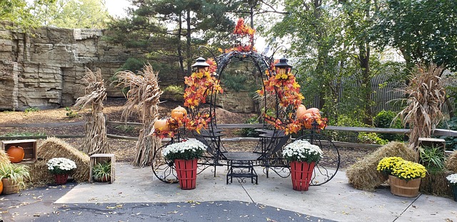 Dia Das Bruxas, Cedar Point, Decoração