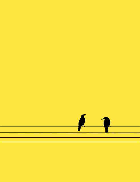 Download free HD stock image of Birds Cable Free birds cable wire vector