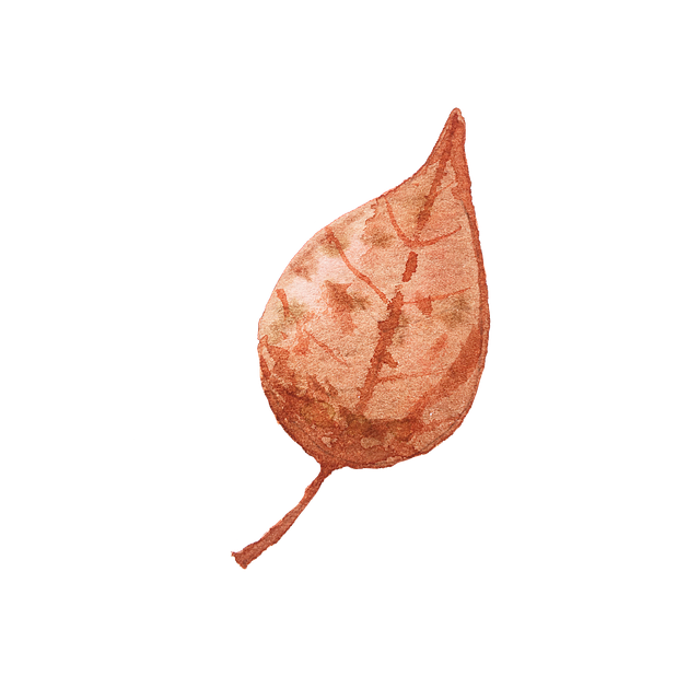 Free watercolor painting leaf illustration