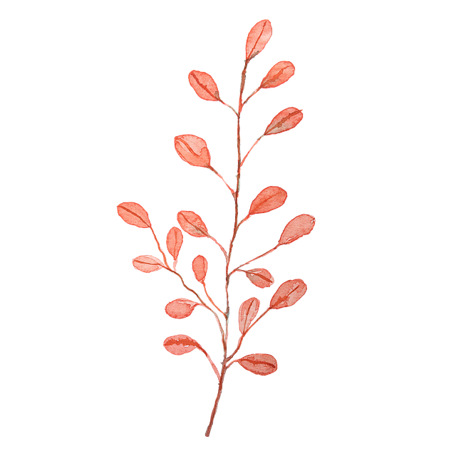Waterverf, Schilderen, Plantaardige