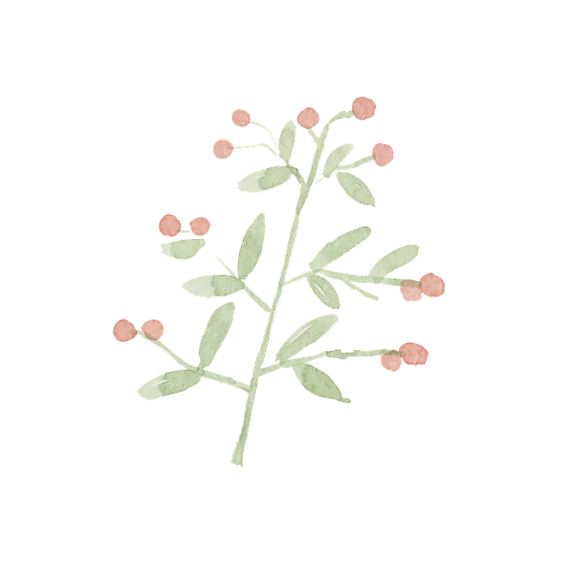 Free leaves nature plant illustration