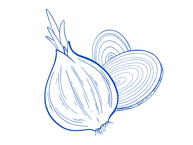 Free onion vegetable food illustration