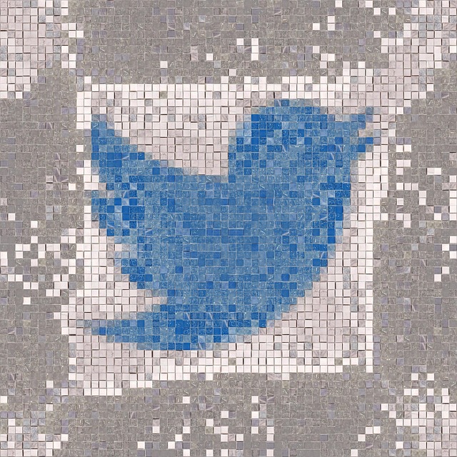 Free Twitter Logo photo and picture