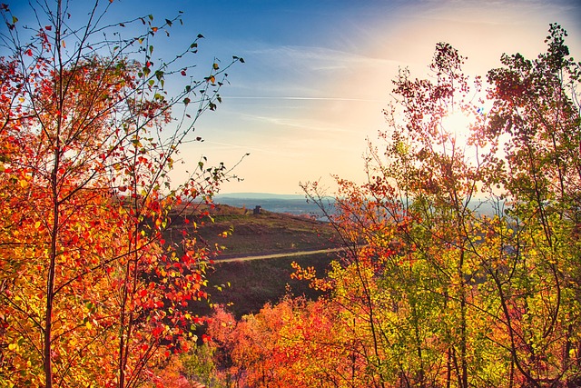 Free Fall Autumn Colors photo and picture