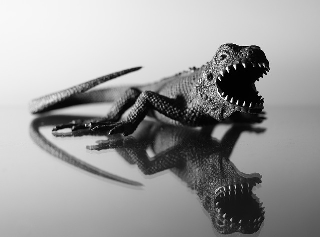 Free Lizard Toy photo and picture