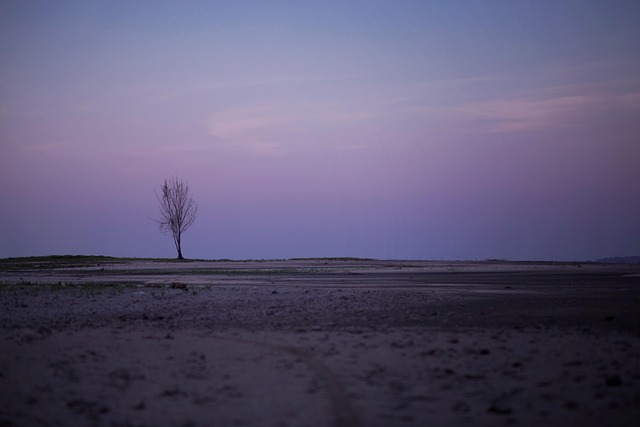 Free Paisaje Night photo and picture