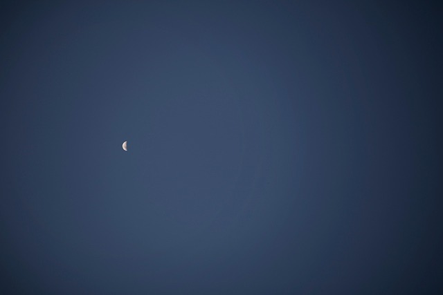 Free Luna Moon photo and picture