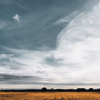 Free Field Farm photo and picture
