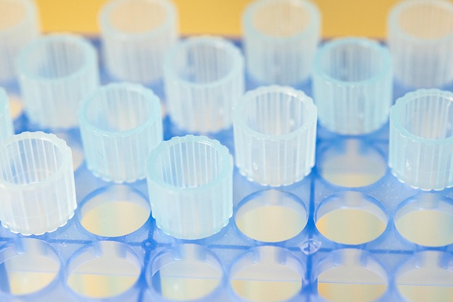 Free Laboratory Test Tube photo and picture