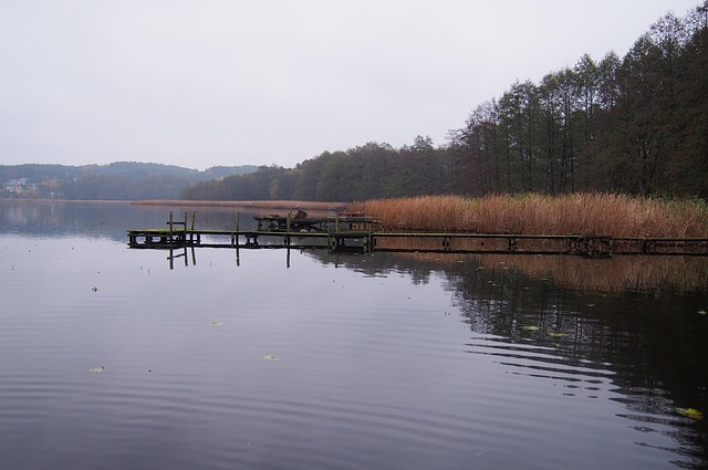 See, Herbst, Landschaft, Natur, Bäume
