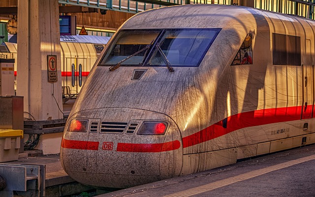 Tog, Togstation, Transport, Transportere
