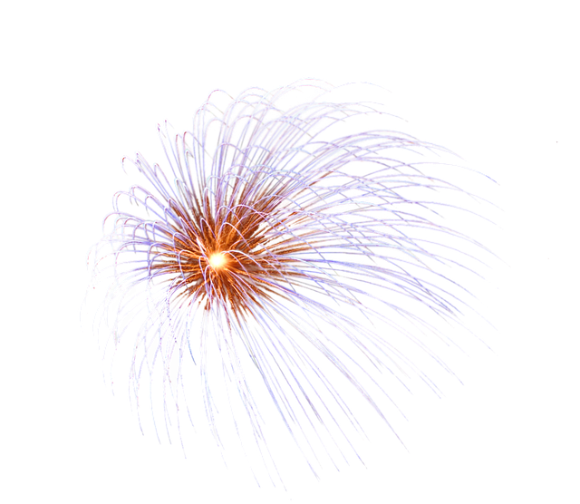 Download Firework, Explosion, Pyrotechnics. Royalty-Free Stock ...