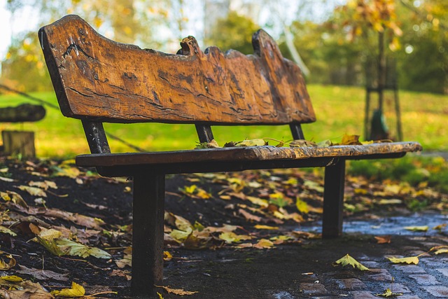 Free Park Bench photo and picture