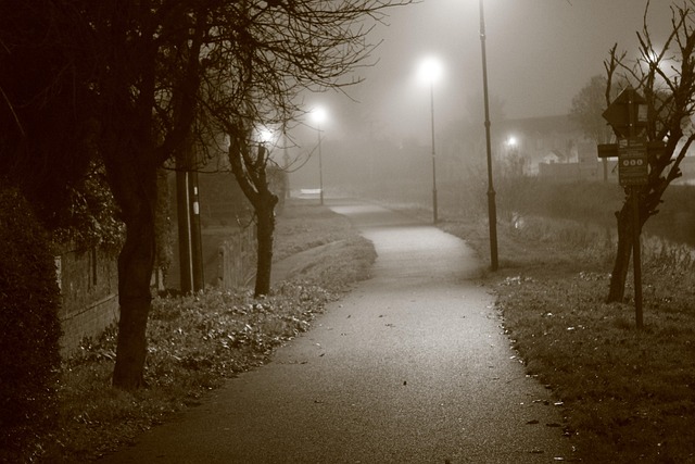 Ochtend, Eng, Nevelig, Mist