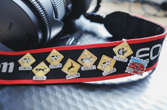 Free Camera Strap Stamps photo and picture