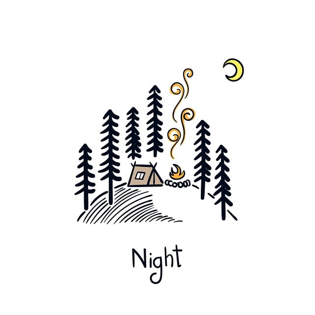 Download free HD stock image of Night Camping Free night camping forest illustration