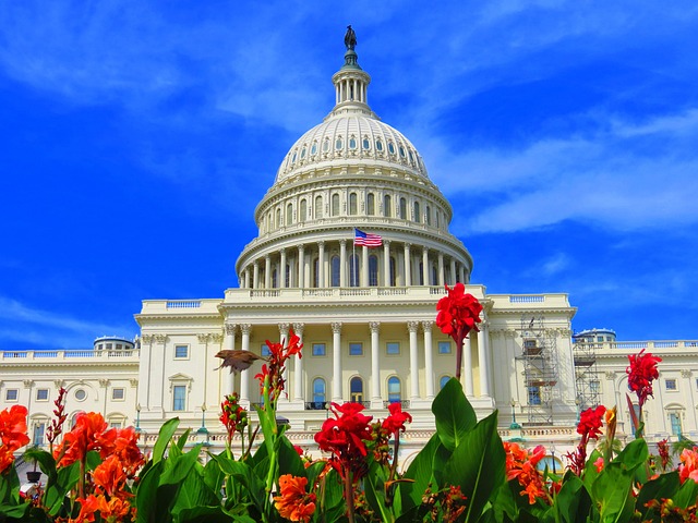 Free United States Capitol Building photo and picture