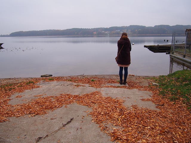 See, Herbst, Blätter, Landschaft