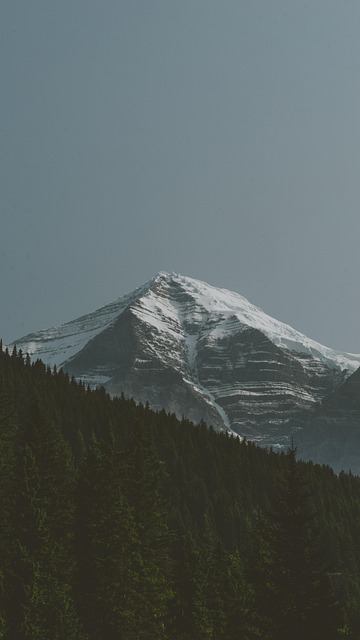 Free Mountain Forest photo and picture