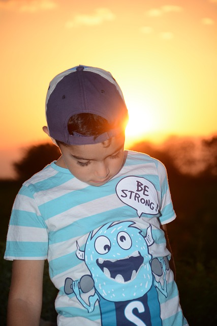 Free Sunset Orange photo and picture