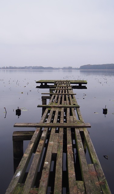 Brücke, See, Natur, Landschaft