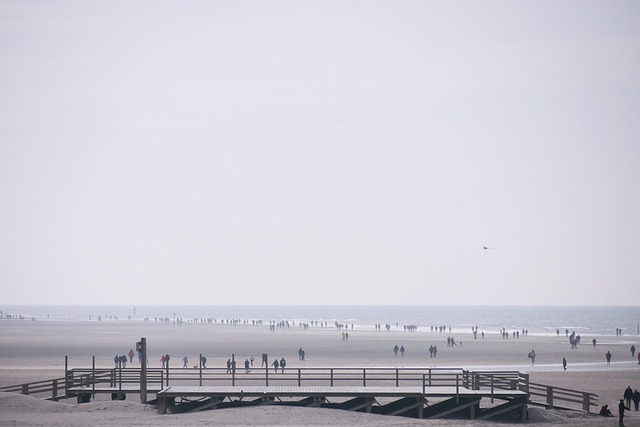 Free North Sea Beach photo and picture
