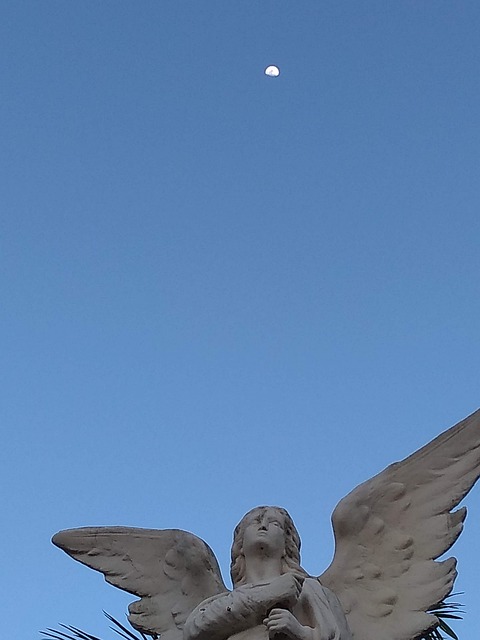 Angel Sky Moon - Free photo on Pixabay - Pixabay