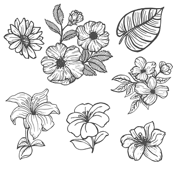 Free Những Bông Hoa Lá vector and picture