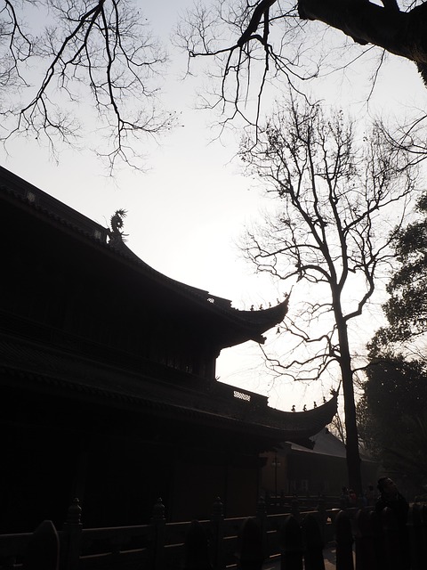 Boom, Tempel, Cultuur