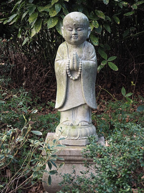 Kleine Monnik, Schattige Status, Zen