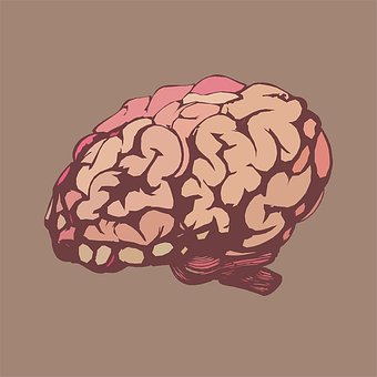 Cerebro, Mente, Dibujos Animados