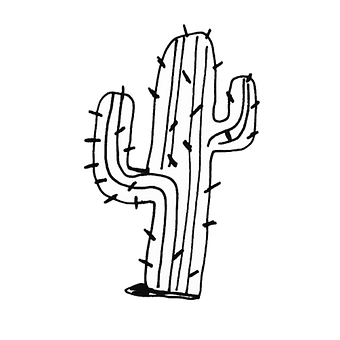 Cactus, Suculento, Planta, México