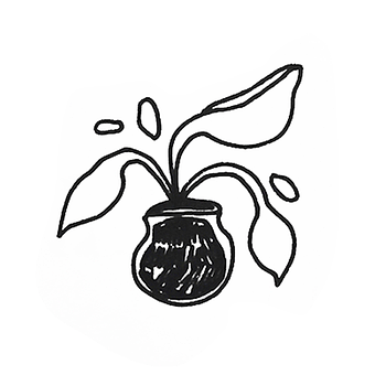 Planta De Casa, Planta, Maceta, Hoja
