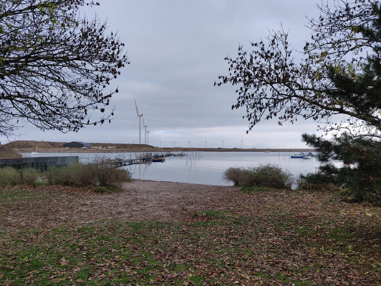 automne-plage-amateur-photo-gratuite-sur-pixabay-pixabay