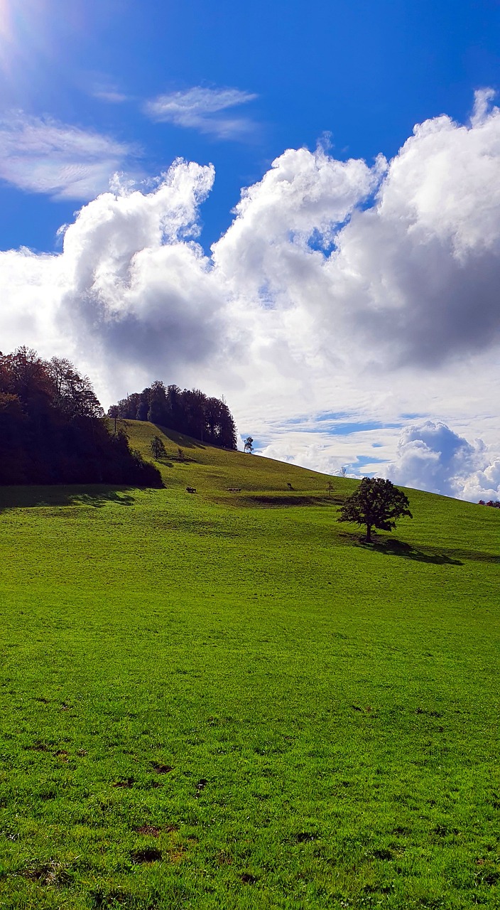 Colline Colline Vert Nature - Photo gratuite sur Pixabay - Pixabay