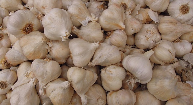 Knoblauch, Köpfe, Glühbirnen